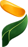VINA Plywood logo