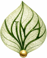 Vina Woodpellet